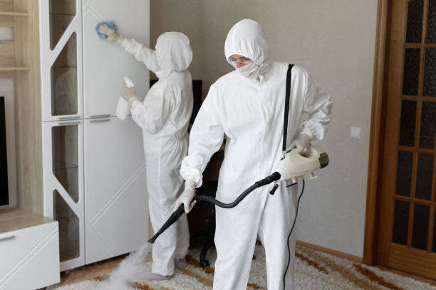 Best Industrial Mold Remediation  in Lone Pine, CA